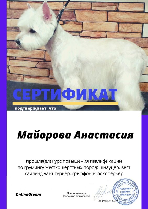 Документ или сертификат