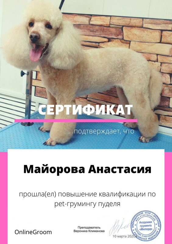 Документ или сертификат