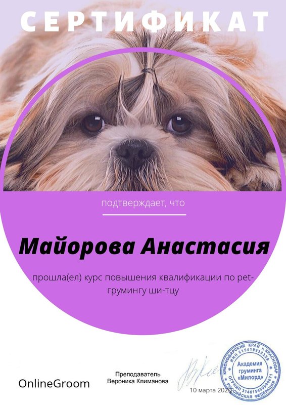 Документ или сертификат