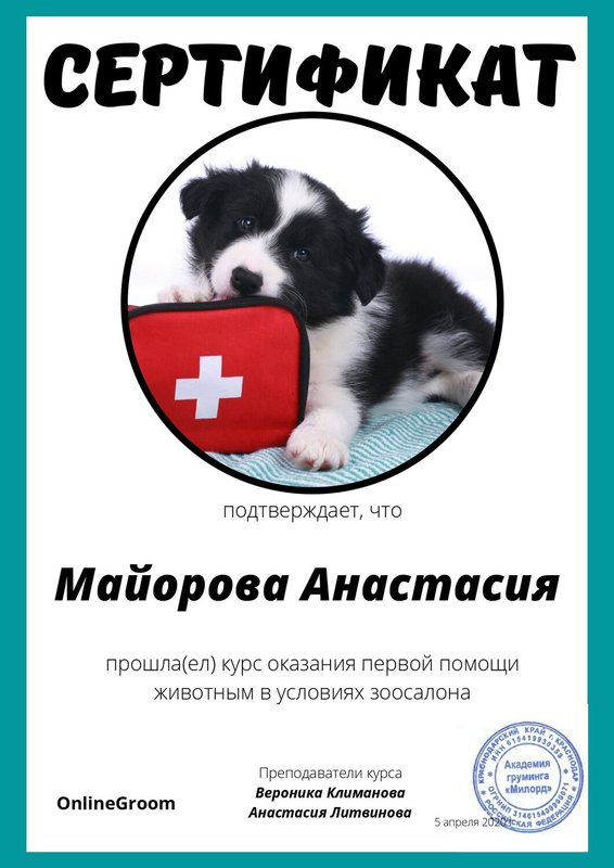 Документ или сертификат