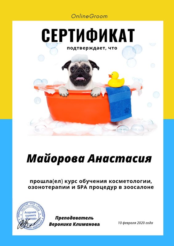 Документ или сертификат