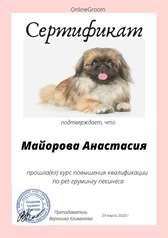 Документ или сертификат