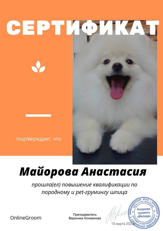 Документ или сертификат