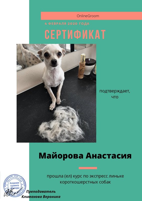 Документ или сертификат