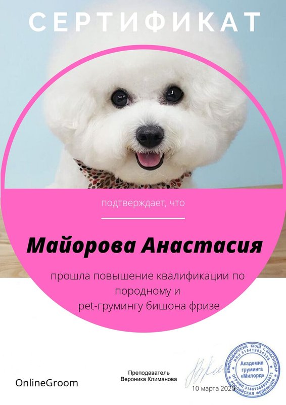 Документ или сертификат