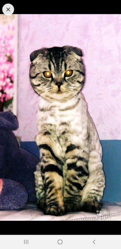 Фото врача