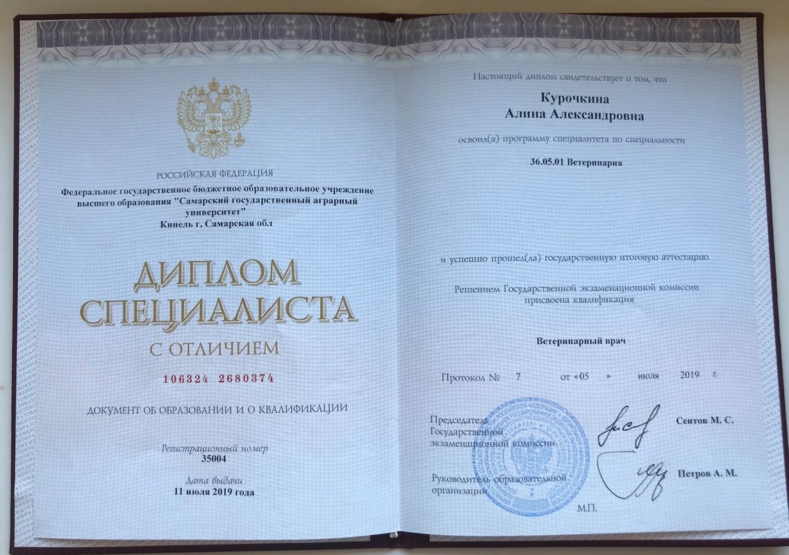 Документ или сертификат