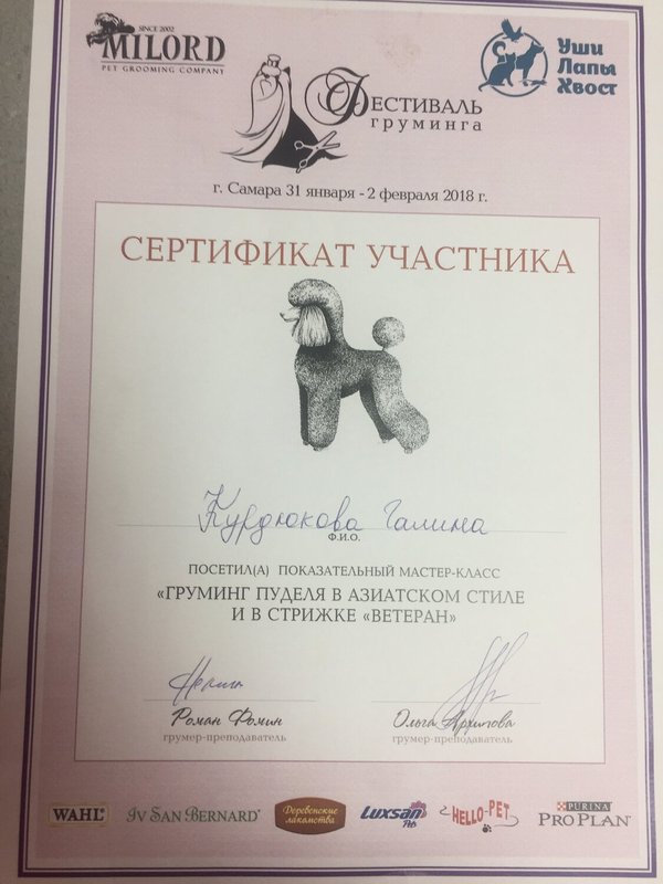 Документ или сертификат