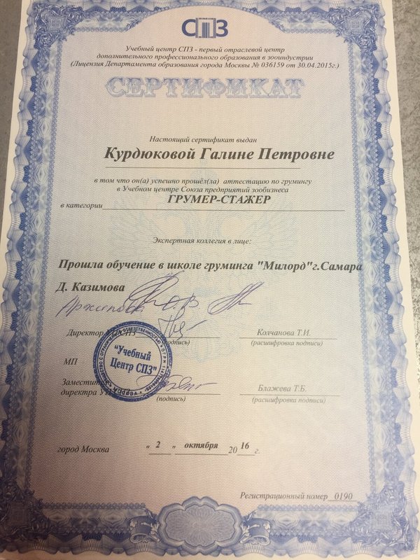 Документ или сертификат