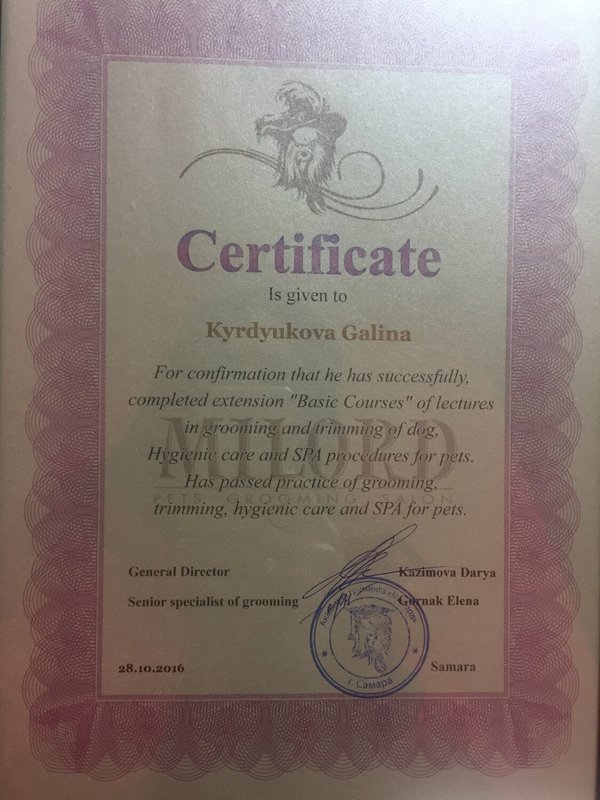 Документ или сертификат