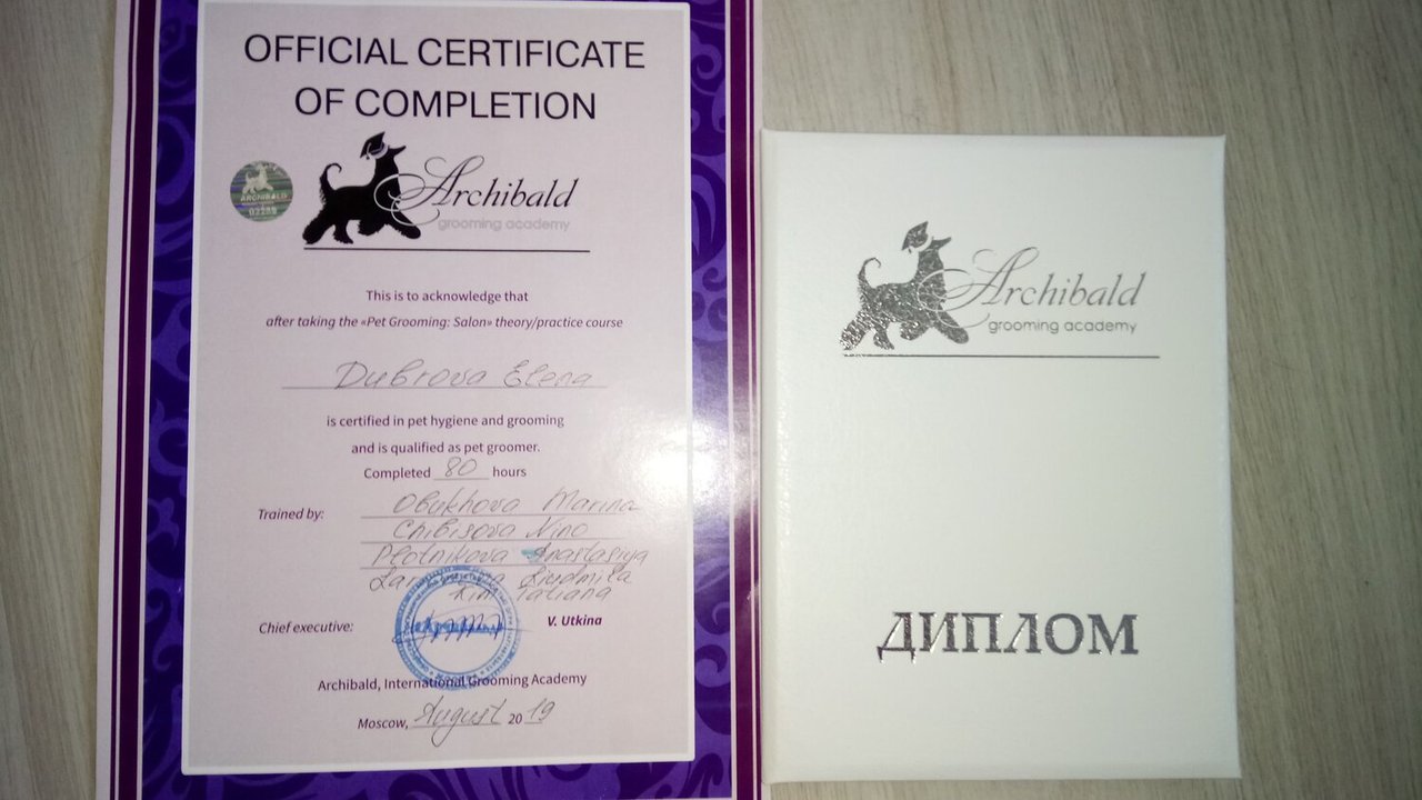 Документ или сертификат