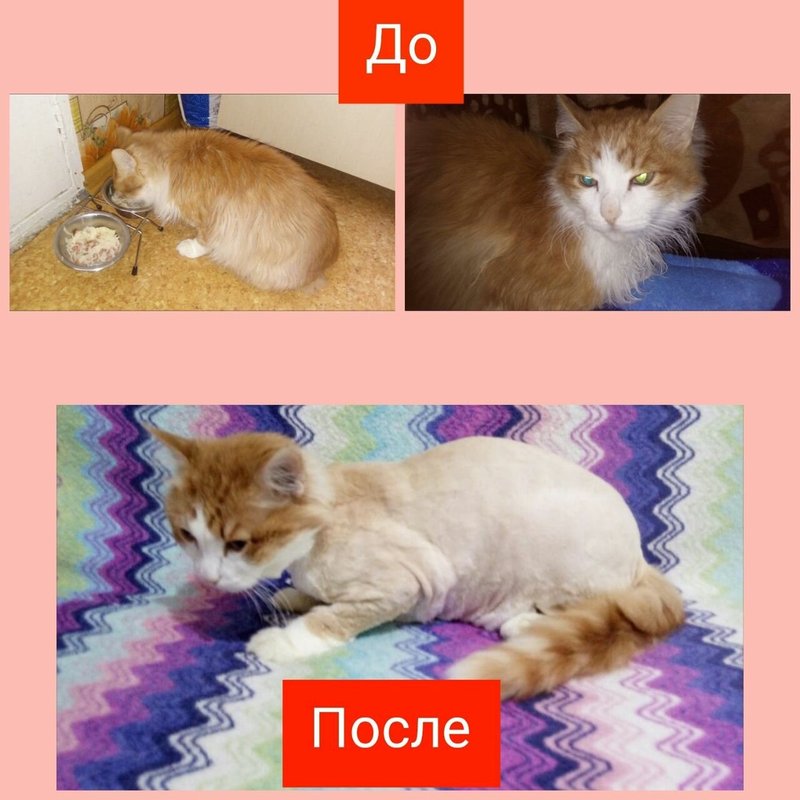 Фото врача