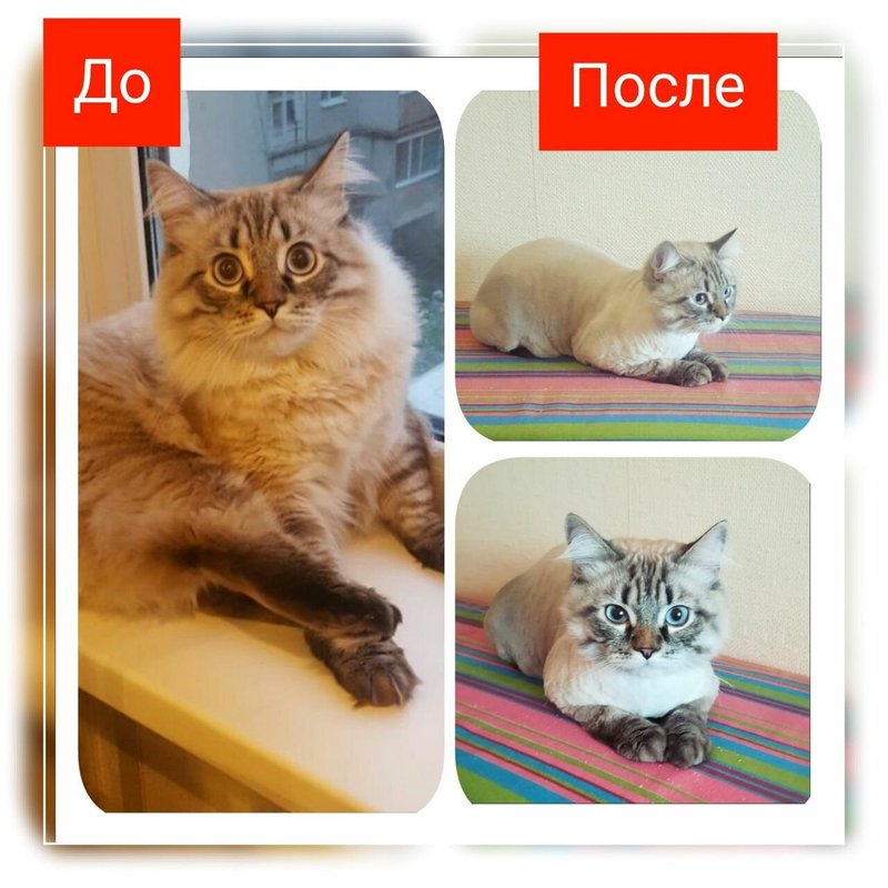 Фото врача