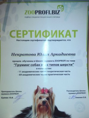 Фото врача Некратова Юлия