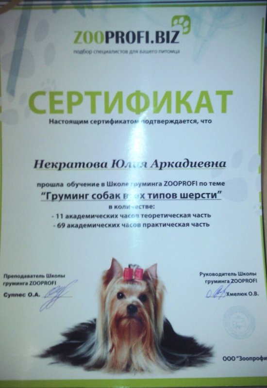 Документ или сертификат