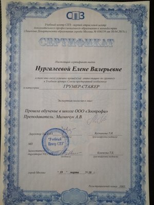 Фото врача Елена Н.