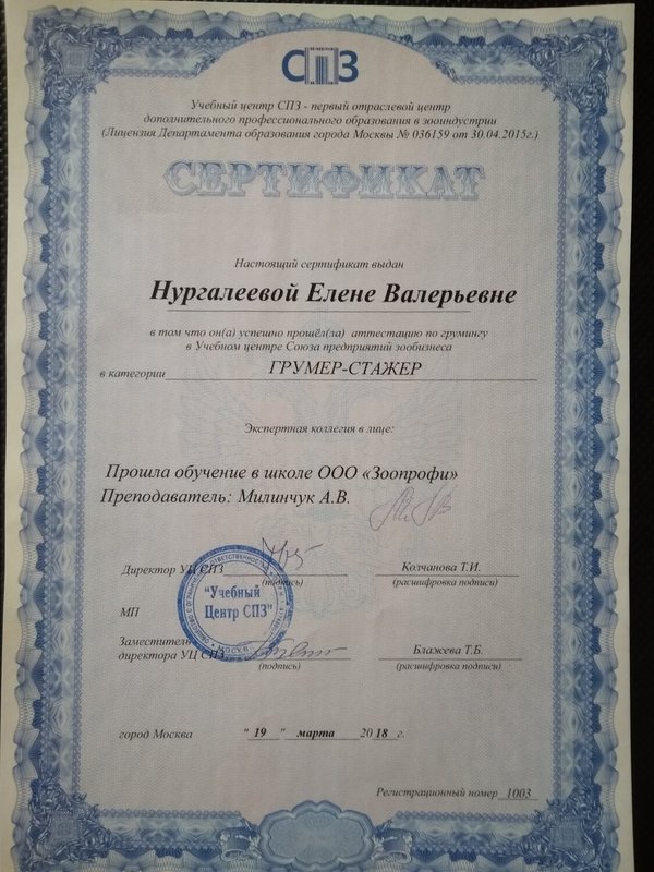 Документ или сертификат