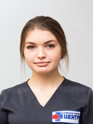 Фото врача Грибенник Ангелина Николаевна