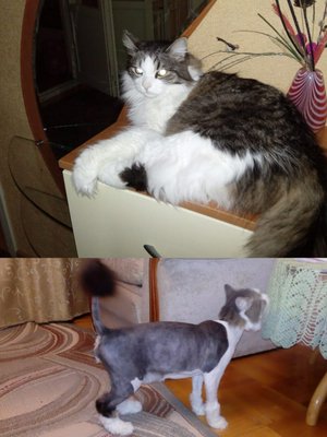 Фото «Иванова Оксана»