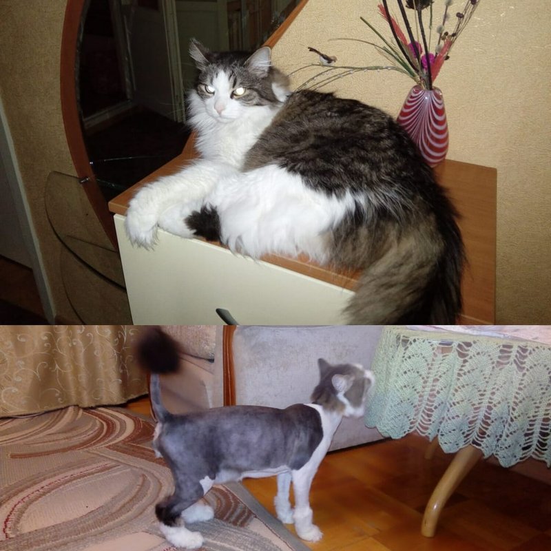 Фото врача