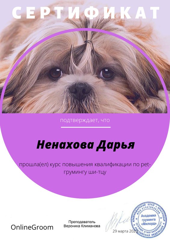 Документ или сертификат