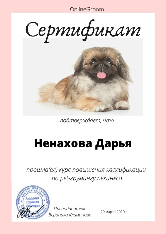 Документ или сертификат