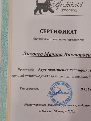 Фото врача Лиходед Марина