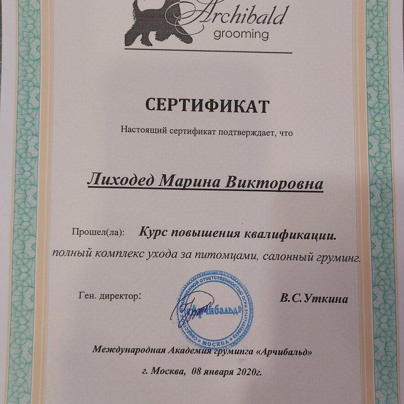 Документ или сертификат