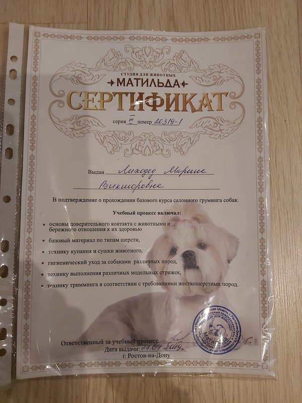 Документ или сертификат