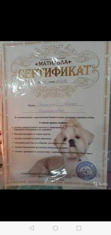 Документ или сертификат