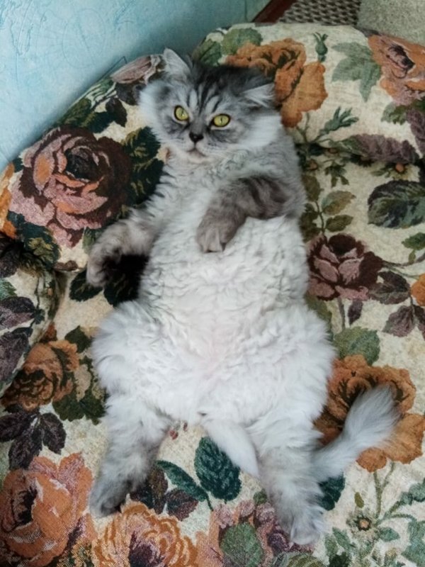 Фото врача