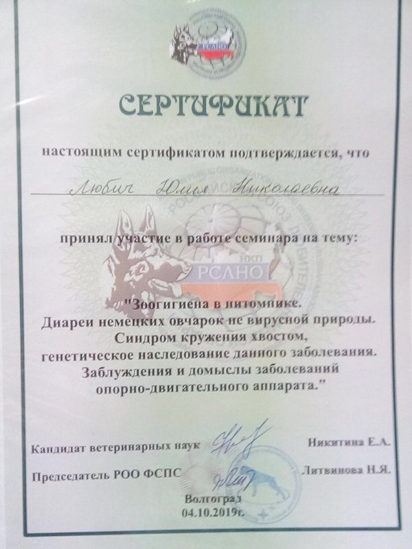 Документ или сертификат