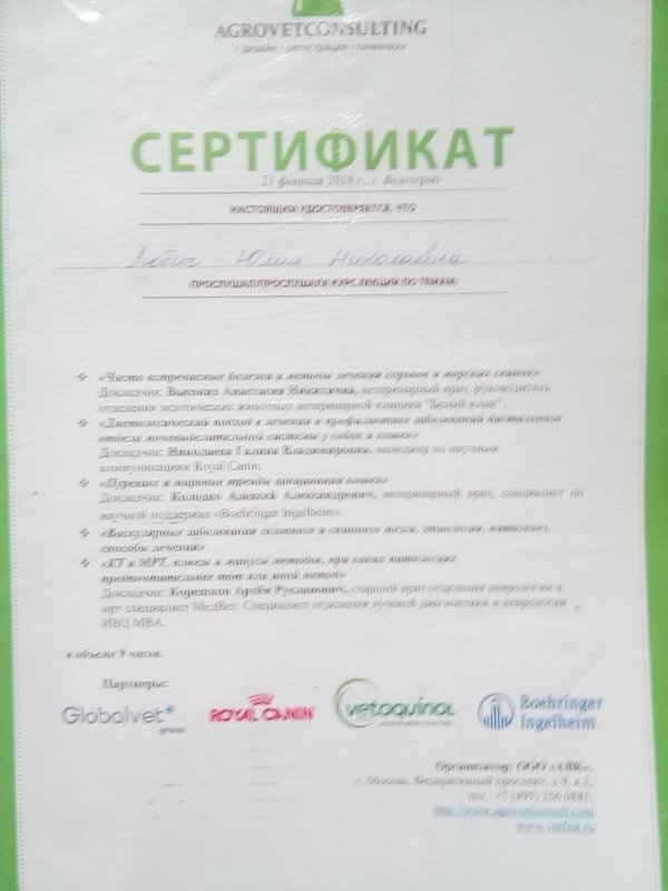 Документ или сертификат
