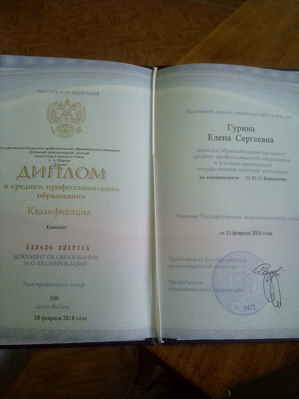 Документ или сертификат