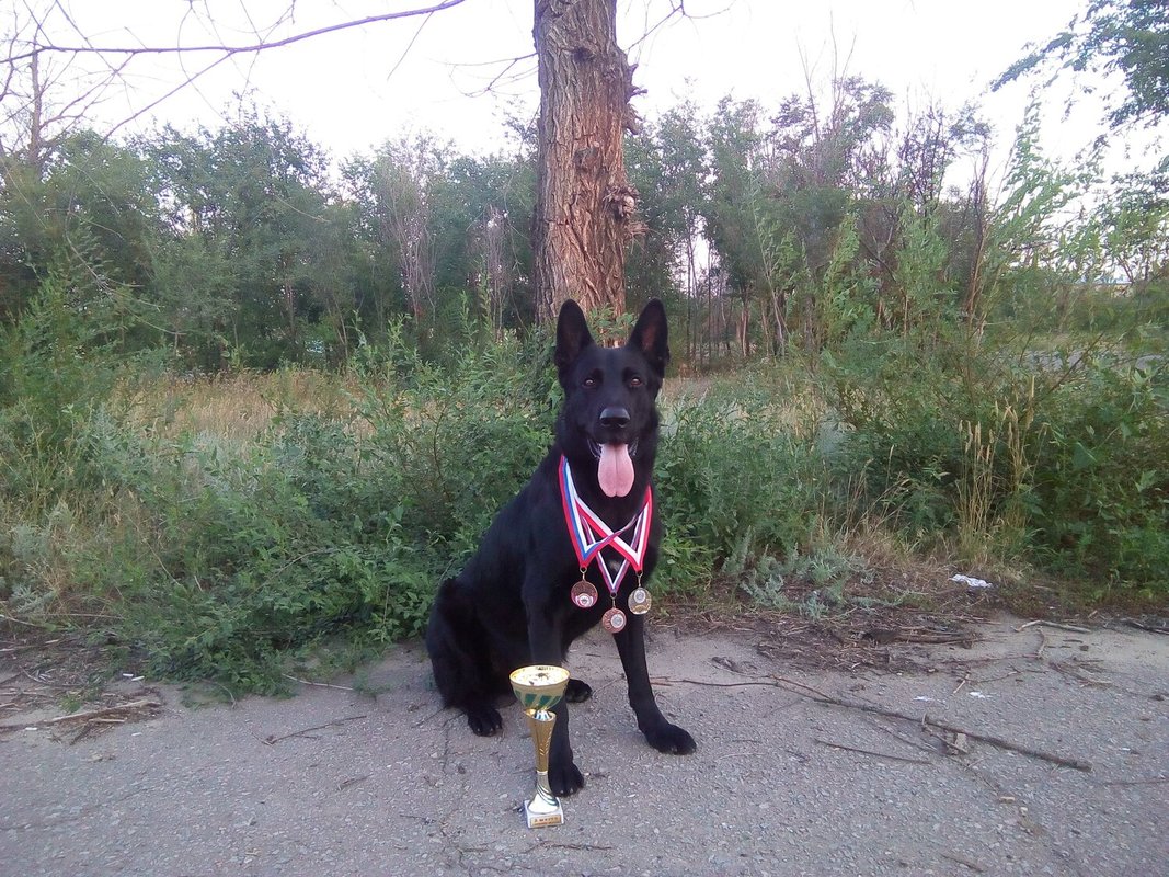Фото врача