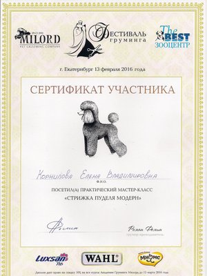 Фото врача Корнилова Елена