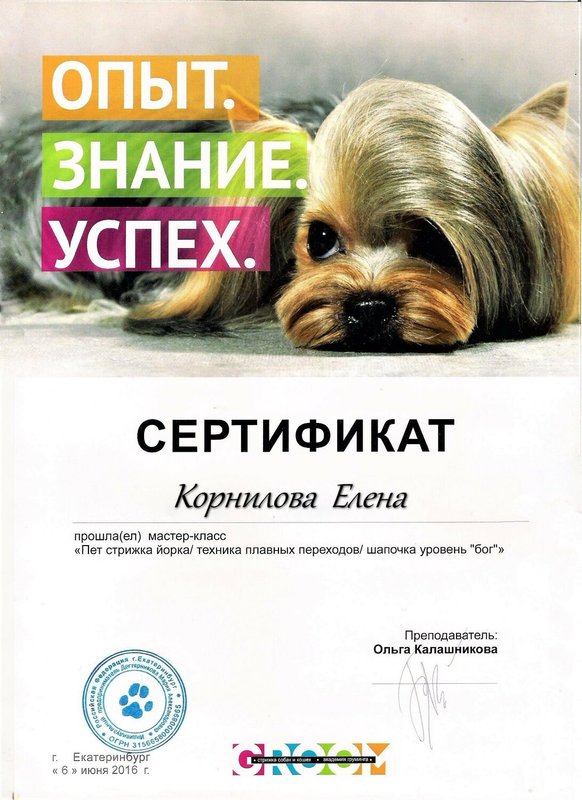 Документ или сертификат