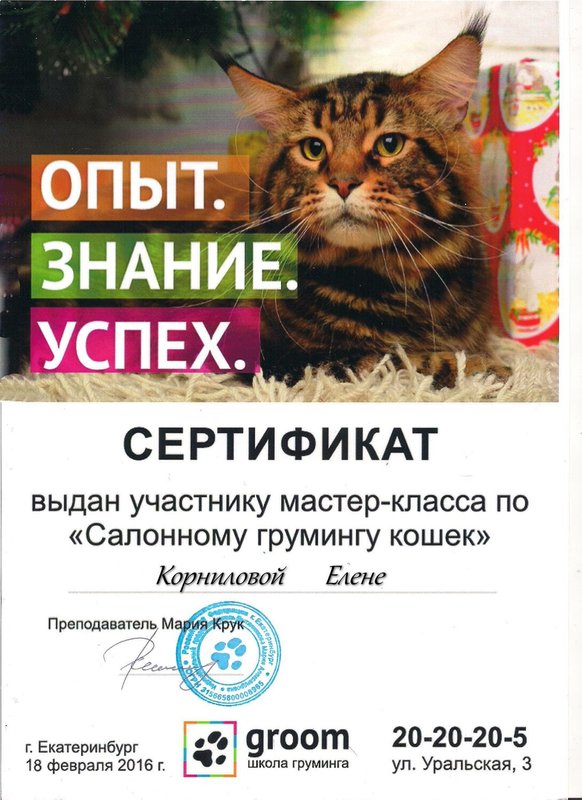Документ или сертификат