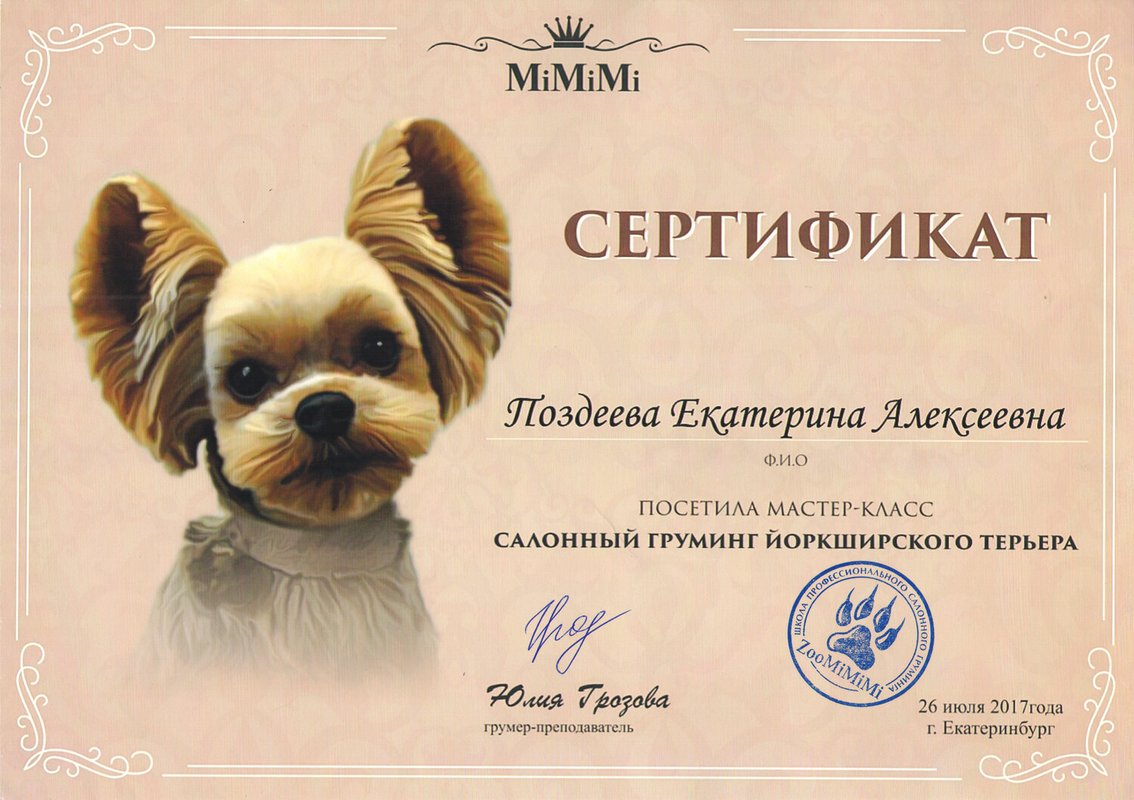 Документ или сертификат