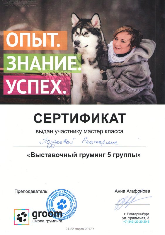 Документ или сертификат