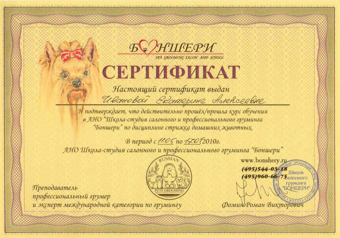 Документ или сертификат