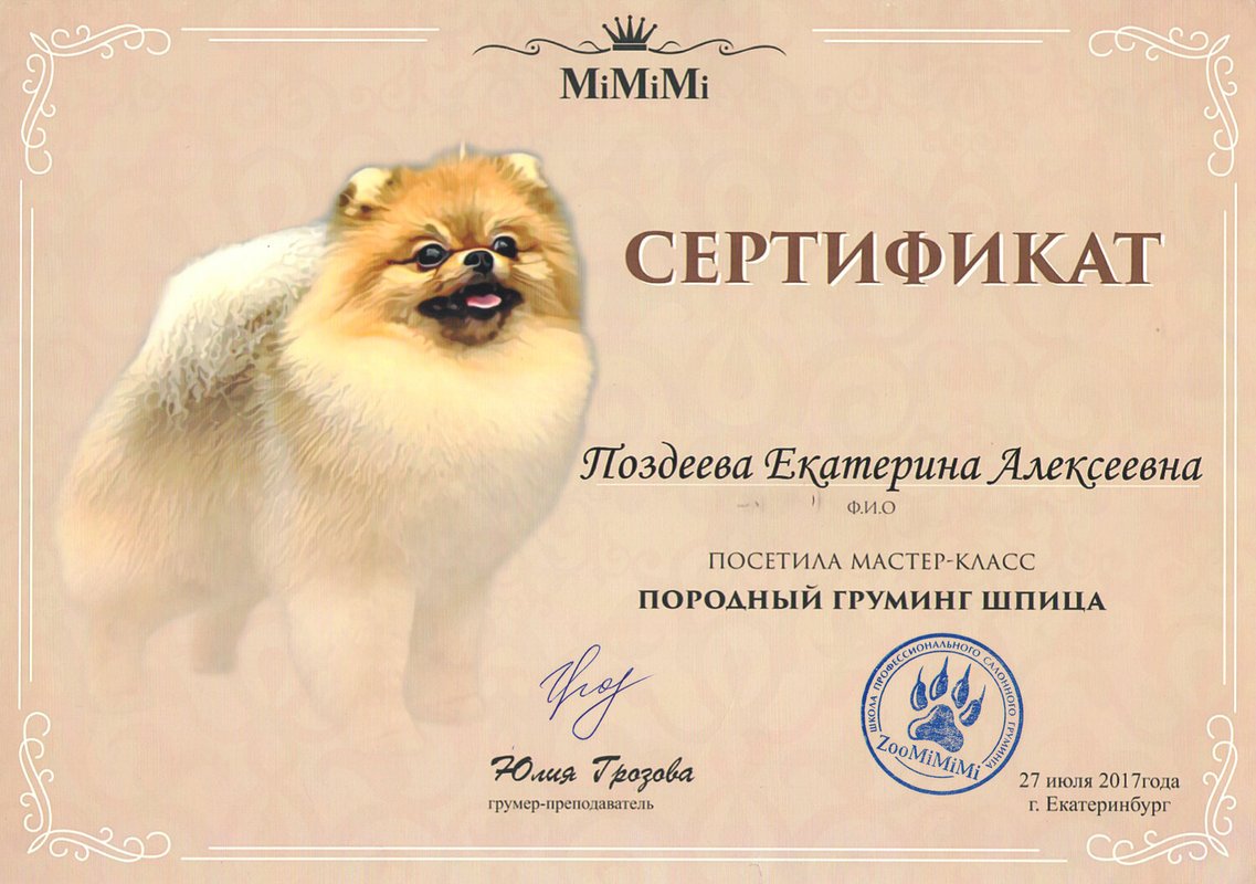 Документ или сертификат