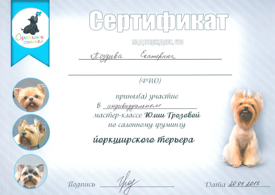 Документ или сертификат