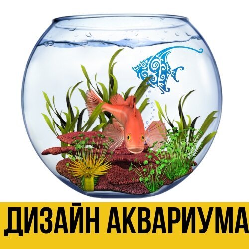 Фото врача