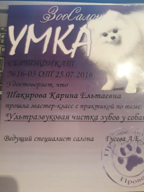 Документ или сертификат