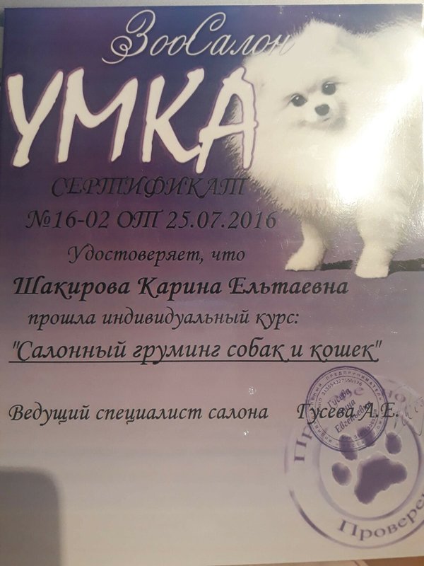 Документ или сертификат