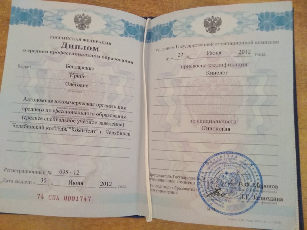 Документ или сертификат