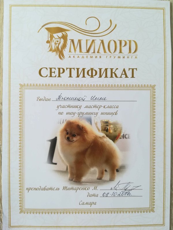 Документ или сертификат