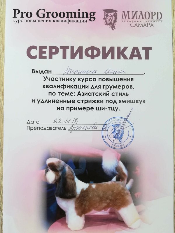 Документ или сертификат