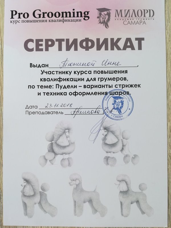 Документ или сертификат